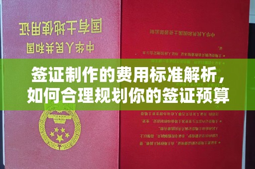 峨眉山签证制作的费用标准解析，如何合理规划你的签证预算